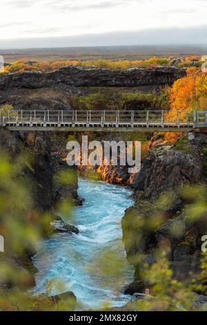 Malerische Landschaft mit Metallsteg über einen schnellen Fluss, der zwischen felsigen Klippen mit Herbstbäumen in Island fließt Stockfoto