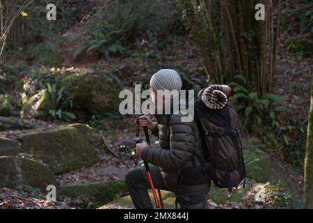 Nachdenklicher älterer männlicher Wanderer in warmer Kleidung und Hut mit Rucksack und Wanderstöcken auf Wanderwegen im Wald während der Wanderung Stockfoto