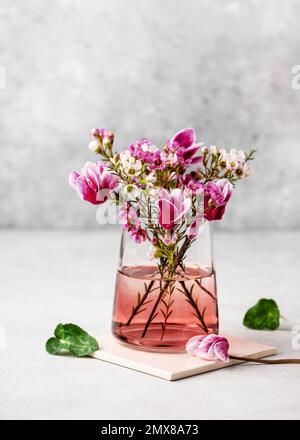 Wunderschöner Strauß aus pinkfarbenen, weißen Wachsblumen und violetten Cyclamen-Blüten in einer Glasvase. Frühlingsblütenanordnung. Selektiver Fokus. Stockfoto