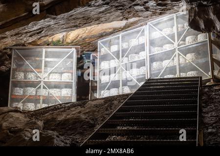Cheddar-Käse reift in der Goughs Cave in Cheddar in Somerset Stockfoto