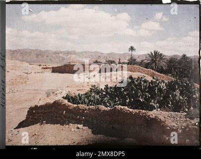 El Kantara, Algerien die Mauern der Schließung von Gärten und Palmenhainen, wahrscheinlich im roten Dorf, 1909 oder 1910 - Algerien, Tunesien - Jules Gervais - Courtellemont und Souvieux Stockfoto