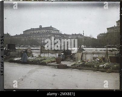 Paris (4. Arr.), Frankreich der Blumenmarkt des Place Louis-Lépine auf der Insel der Stadt, Quai de la Corsica, Stockfoto