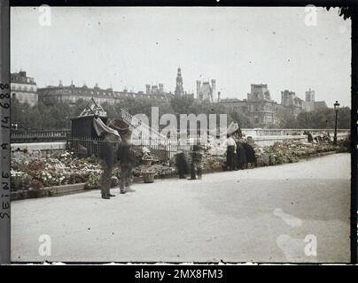 Paris (4. Arr.), Frankreich der Blumenmarkt des Place Louis-Lépine auf der Insel der Stadt, Quai de la Corsica, Stockfoto