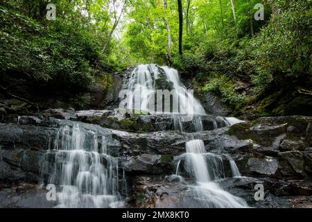 Laurel Falls am Laurel Falls Trail im Great Smoky Mountains-Nationalpark, Tennessee. Stockfoto