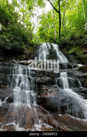 Laurel Falls am Laurel Falls Trail im Great Smoky Mountains-Nationalpark, Tennessee. Stockfoto