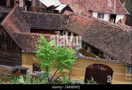 Sibiu County, Rumänien, ca. 1999. Typische sächsische Anwesen in einem Dorf, mit großem Tor, das zu einem Innenhof, Haus und Nebengebäuden führt. Stockfoto