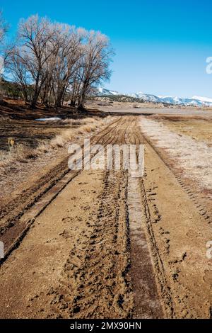 Schlammigen Spuren auf einer Ranch dirt road; Colorado; USA Stockfoto