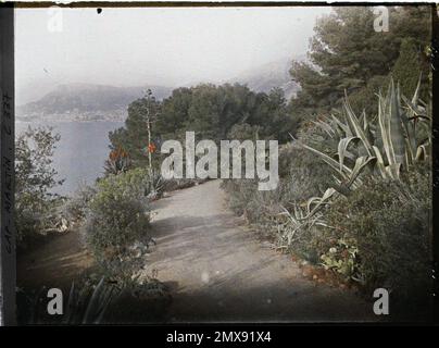 Cap Martin, Frankreich Gartenanlage mit Monaco im Hintergrund , 1921 Cap Martin, Italien, Cap Martin - Auguste Léon (Feb.-April) Stockfoto