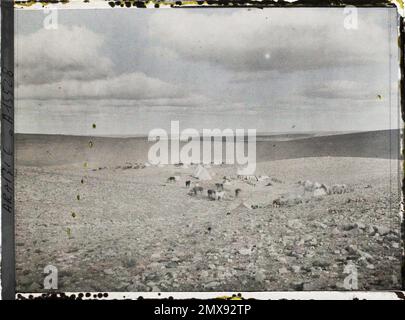 (Französisch - environs de Ma' an , Arabie ( actuelle Jordanie ) Campement francais d' Oueida). Stockfoto