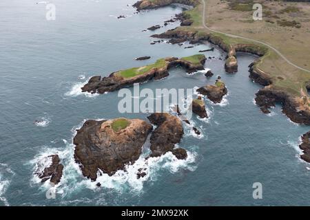 Das kalte, nährstoffreiche Wasser des Pazifischen Ozeans schwebt vor der zerklüfteten Küste Nordkaliforniens in Mendocino, nördlich von San Francisco. Stockfoto