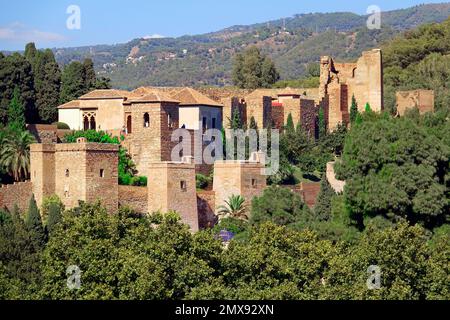 Die Mauern der Alcazaba Málaga sind eine Gemeinde in Spanien, Hauptstadt der Provinz Málaga, in der autonomen Gemeinschaft Andalusien Málaga Stockfoto