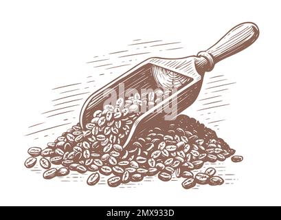 Körner gerösteten Kaffees mit einem Holzspachtel. Handgezeichnete Skizze Vintage-Vektordarstellung Stock Vektor