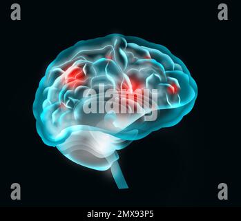 Illustration des menschlichen Gehirns auf schwarzem Hintergrund Stockfoto