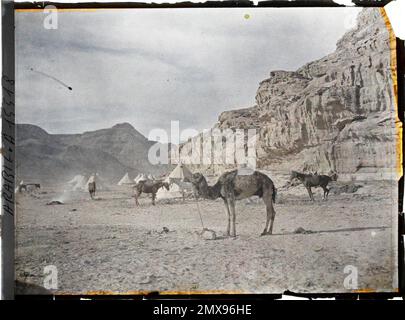 (Französisch - Quweira , Arabie ( actuelle Jordanie ) Sous les falaises , les Tentes du Campement des Forces arabes du royaume du Hedjaz). Stockfoto