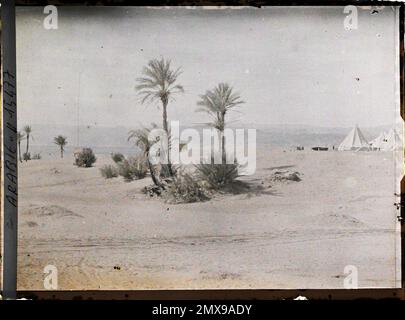 (Französisch - Aqaba , Arabie ( actuelle Jordanie ) Le Camp Britannique , au Bord du golfe d' Aqaba). Stockfoto