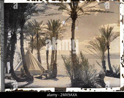 (Französisch - Aqaba , Arabie ( actuelle Jordanie ) Une tente du Campement des Forces arabes du royaume du Hedjaz dans une palmeraie au Bord du golfe d' Aqaba). Stockfoto