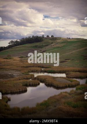 Landschaften, Coyote Hills Regional Park, Kalifornien Stockfoto