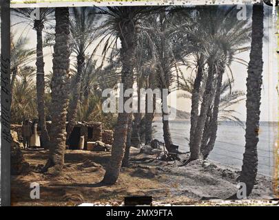 (Französisch - Aqaba , Arabie ( actuelle Jordanie ) Construction dans une palmeraie au Bord du golfe d' Aqaba). Stockfoto