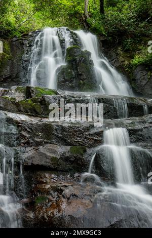 Laurel Falls im Great Smoky Mountains National Park, Tennessee, USA. Stockfoto