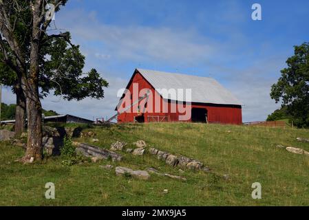 Der Heu-Aufzug ragt in das Dachfenster ein. Die Scheune ist rot, aus Holz und hat ein Blechdach. Es liegt auf einem Hügel in Tennessee. Stockfoto