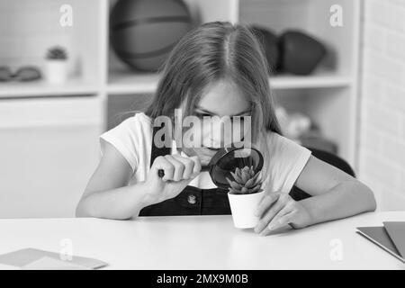 Wissenschaft und Kindheit. Jugendliches Mädchen, das die Pflanze durch Lupe betrachtet. Zurück zur Schule. Stockfoto