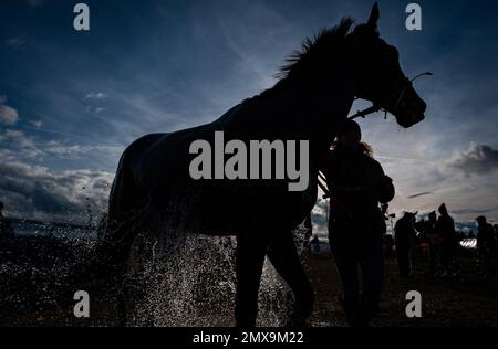 Action from Cocklebarrow Point to Point Races, Februar 2023 Stockfoto