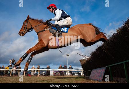 Action from Cocklebarrow Point to Point Races, Februar 2023 Stockfoto