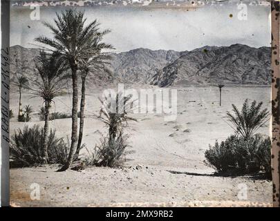 (Französisch - Aqaba , Arabie ( actuelle Jordanie ) Vers l' intérieur des terres). Stockfoto