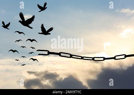 Freiheitskonzept. Silhouetten gebrochener Ketten und Vögel, die am blauen Himmel fliegen Stockfoto