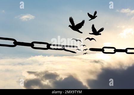 Freiheitskonzept. Silhouetten gebrochener Ketten und Vögel, die am blauen Himmel fliegen Stockfoto