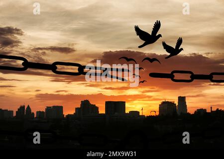 Freiheitskonzept. Silhouetten von gebrochenen Ketten und Vögeln, die bei Sonnenuntergang im Freien fliegen Stockfoto