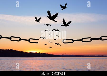 Freiheitskonzept. Silhouetten von gebrochenen Ketten und Vögeln, die bei Sonnenuntergang über dem Fluss fliegen Stockfoto