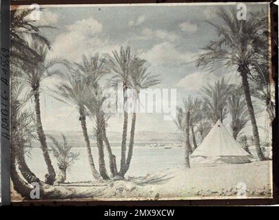 (Französisch - Aqaba , Arabie ( actuelle Jordanie ) Une tente du Campement des Forces arabes du royaume du Hedjaz dans une palmeraie au Bord du golfe d' Aqaba). Stockfoto