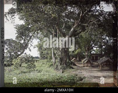 Dorf Dinh-Công, Provinz Hà-Dông, Indochina mit kleinen, strohgedeckten Hütten für den Markt, im Schatten großer Bäume, Léon in Indochina Stockfoto