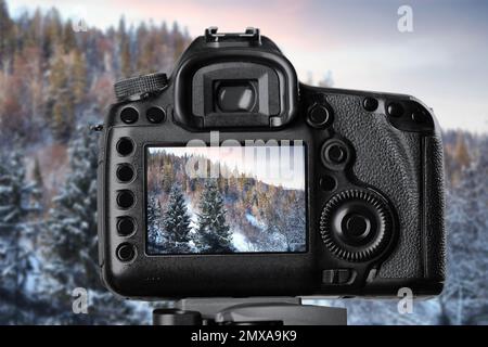 Wunderschöne Aussicht auf verschneiten Wald mit einer professionellen Videokamera aufnehmen Stockfoto