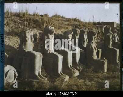 Karnak, Ägypten, Afrika mehrere Statuen der Göttin Sekhmet , 1914 - Ägypten - Auguste Léon - (Januar - Februar) Stockfoto