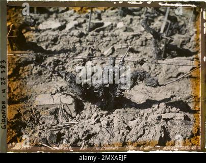 Blanquefort, Frankreich , 1920-1921 - Charente, Gironde, Basse - Pyrénées, Hautes Pyrénées - Fernand Cuville Stockfoto