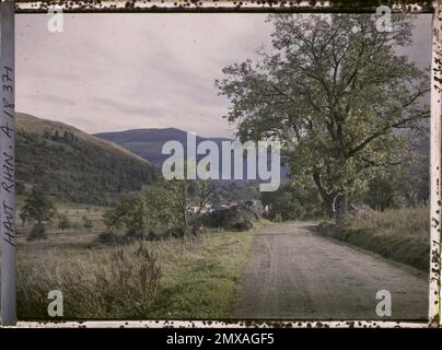 Metzeral, Skin-rhin, Asseas, frances , 1919 - Elsace - Fernand Cuville - (Herbst) Stockfoto