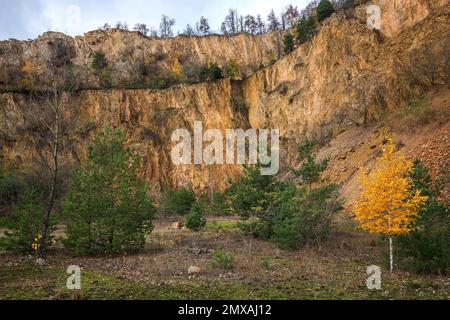 Stillgelegter Porphyrie-Steinbruch, Dossenheim, Baden-Württemberg, Deutschland Stockfoto