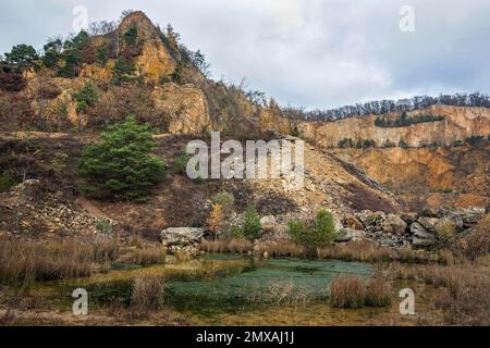 Stillgelegter Porphyrie-Steinbruch, Dossenheim, Baden-Württemberg, Deutschland Stockfoto