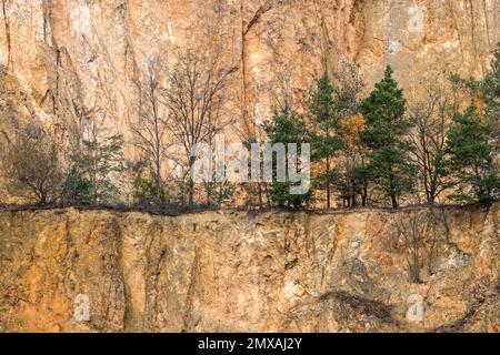 Stillgelegter Porphyrie-Steinbruch, Dossenheim, Baden-Württemberg, Deutschland Stockfoto