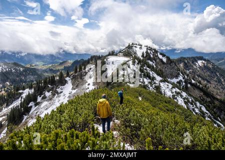 Zwei Wanderer auf einem Wanderweg durch Bergkiefern, Wandern nach Geigelstein im Frühling, Chiemgau Alpen, Bayern, Deutschland Stockfoto