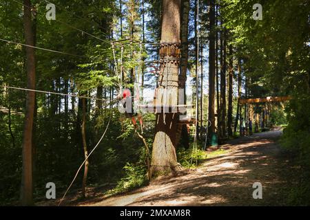 Kind, Mädchen mit Helm in Waldseilen, Kletterpark, Hochseilkurs, Klettern, Freizeit, Wallenhausen-Weissenhorn, Bayern, Deutschland Stockfoto