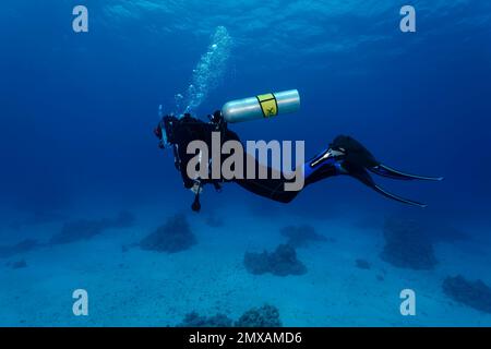 Taucher, Loose Scuba, Nitrox, Port Safaga, Rotes Meer, Ägypten Stockfoto