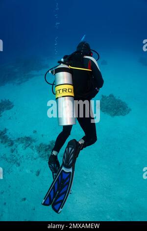 Taucher, Loose Scuba, Nitrox, Port Safaga, Rotes Meer, Ägypten Stockfoto