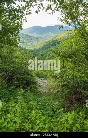 Malerischer Blick auf den Chattahoochee National Forest in den Blue Ridge Mountains in der Nähe des Appalachian Trail zwischen Helen und Blairsville, Georgia. (USA) Stockfoto