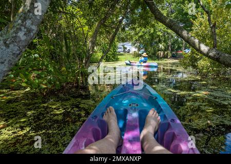 Kajakaussicht unter den Baumkronen in der Nähe des North Guana Outpost am Guana River in Ponte Vedra Beach, Florida. (USA) Stockfoto