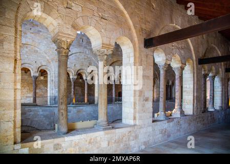 Romanische Kathedrale von S. Nicola Pellegrino, Trani, Apulien, Trani, Apulien, Italien Stockfoto