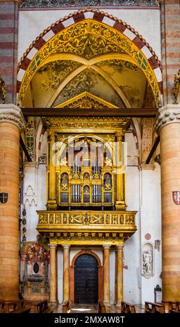 Orgel, Basilica di Sant' Anastasia, Ca. 1290, italienisch-gotisch, Verona mit mittelalterlicher Altstadt, italienisch-gotisch, ca. 1290, Veneto, Italien, Verona, Veneto Stockfoto