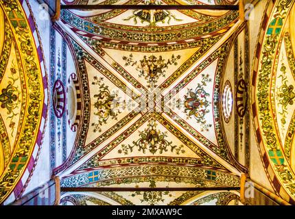 Decke, Basilika di Sant' Anastasia, ca. 1290, italienisch-gotisch, Verona mit mittelalterlicher Altstadt, italienisch-gotisch, ca. 1290, Veneto, Italien, Verona Stockfoto